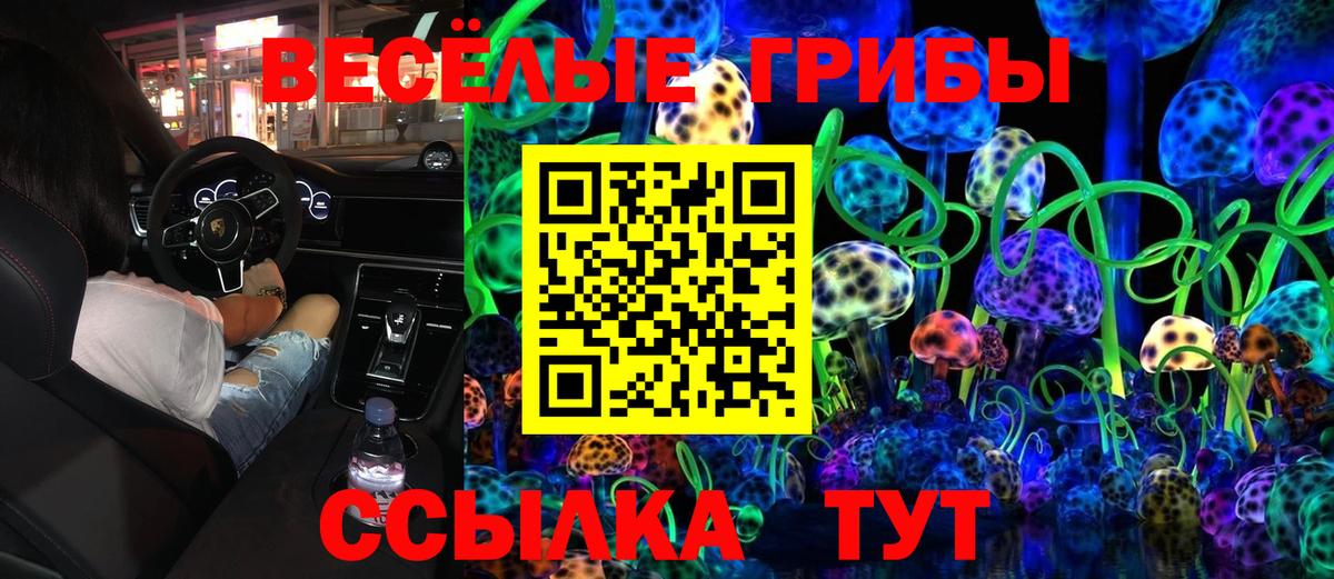 Псилоцибиновые грибы GOLDEN TEACHER Скопин